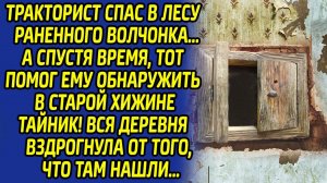 Спасая в лесу волчонка, тракторист ещё не знал, как перевернется его судьба спустя год...
