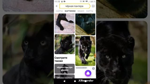 если ты любишь чёрную пантеру то поставь лайк смотреть онлайн