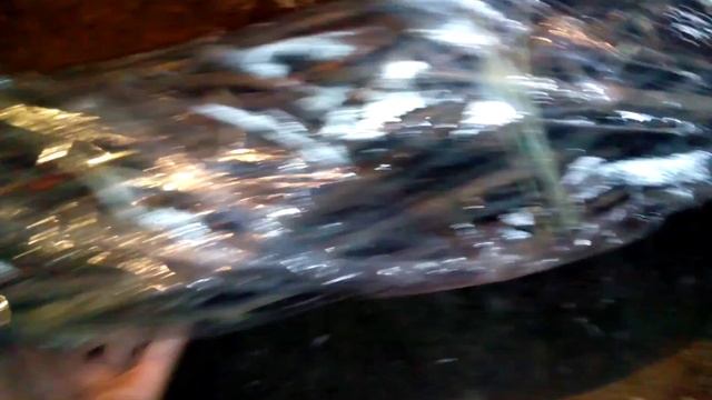 Где хранить черенки винограда? Мой способ. смотреть онлайн