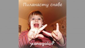 Пиланасту снаве