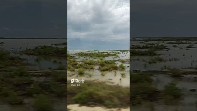 Куба 2023. Болота Кубы, там живут фламинго. Куба за 57 тысяч рублей с перелетом. Тутси влог.
