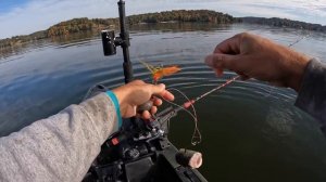 Baiting for Fall Catfish