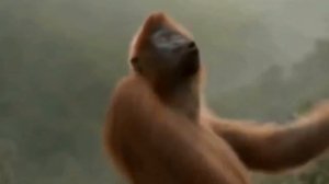 Двигайся, Таня, зажигай, Таня!