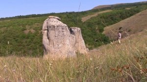 18_07_2020_Александровский р_он,Ставропольский край (1).mp4