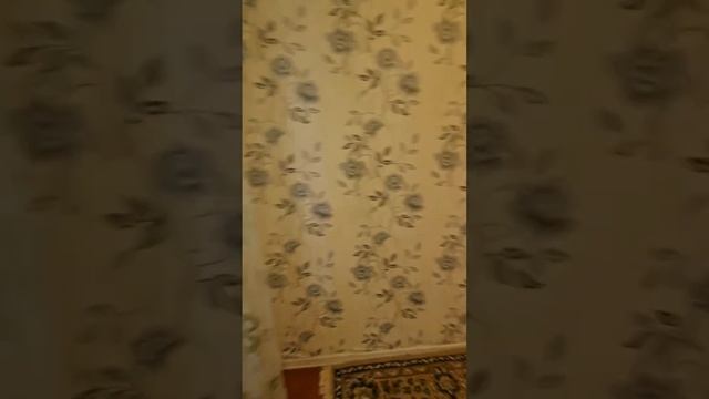 Сдаётся 1-комнатная квартира в пешей доступности до станции Томилино с хорошим ремонтом смотреть онлайн