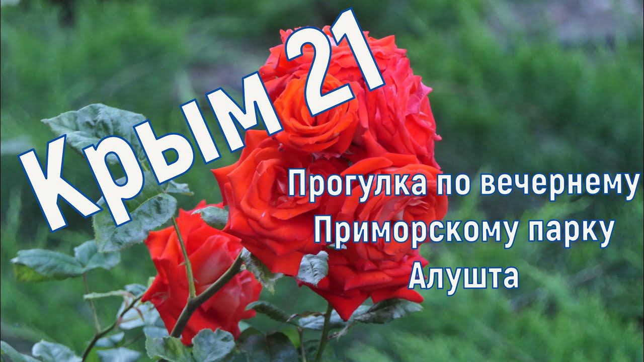 Приморский парк. Алушта. Отпуск в Крыму 2021 год. Прогулка по вечернему парку в Алуште.