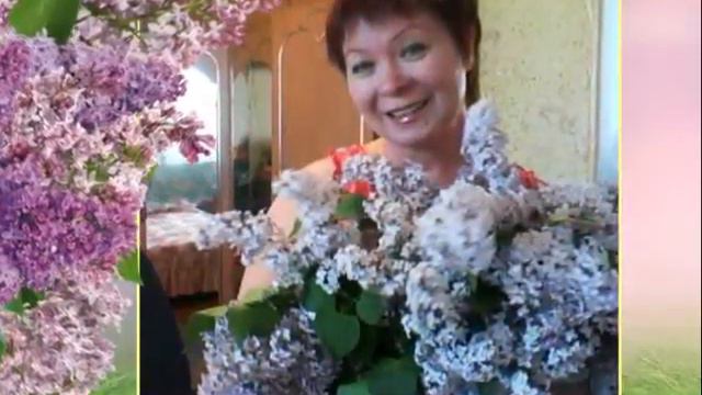 Одинокая ветка сирени смотреть онлайн