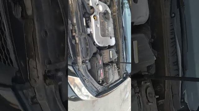 Sonata NF 2006