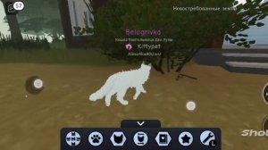 КОТЫ ВОИТЕЛИ РОБЛОКС ВЕРНУЛИСЬ❤️