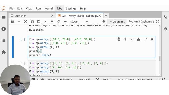 024 - ARRAY MANIPULATION WITH NUMPY IN PYTHON