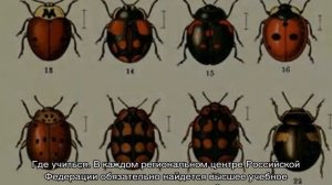 Профессия "Биолог"