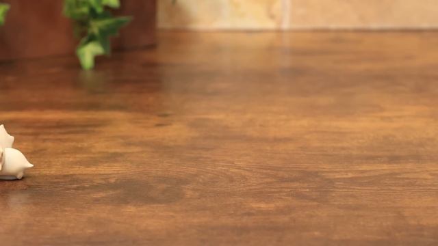 Dinosaurs Transformation Tyrannosaurus & Dinosaurs Bones model kits