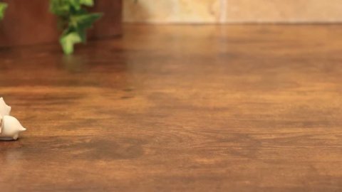 Dinosaurs Transformation Tyrannosaurus & Dinosaurs Bones model kits