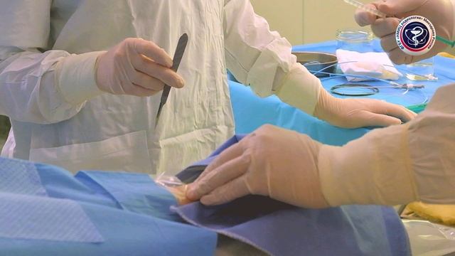 Коронарография - рентгеноконтрастный метод исследования в МРНЦ им. А.Ф. Цыба