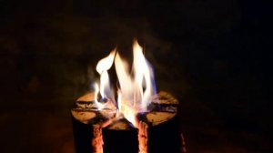 Таежный огонь (костер из полена) игра пламени