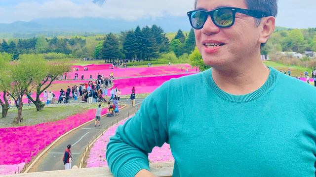 SHIBAZAKURA 富士芝桜まつり 2023 [MOSS PHLOX] смотреть онлайн