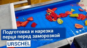 Промышленные резки URSCHEL функциональные и надежные