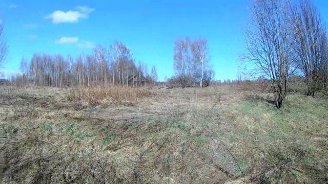 Поиск металлоискателем, остров Юршинский, екатерининский пятак, старое серебряное кольцо, ищем клад