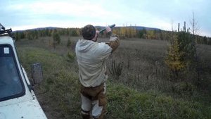 Если изюбрь не отвечает на реву. Что делать??!!