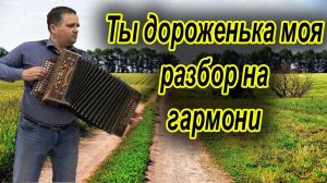 Ты дороженька моя, ты дорожка дальняя // разбор на гармони