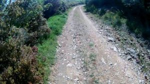 Honda Varadero off road