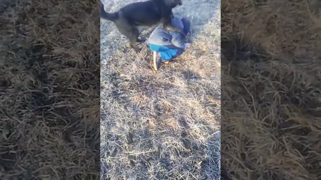Маленькие мальчики