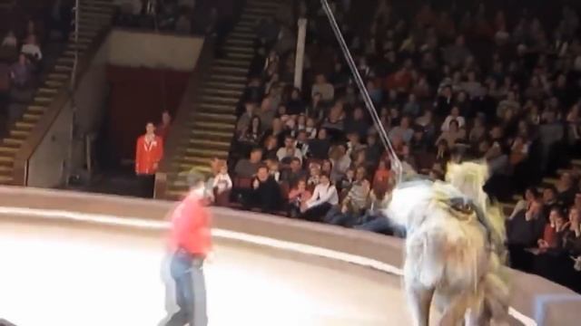 В цирке смотреть онлайн