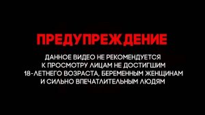 Включил учителя. Категорически осуждаю безрассудное поведение на дороге.