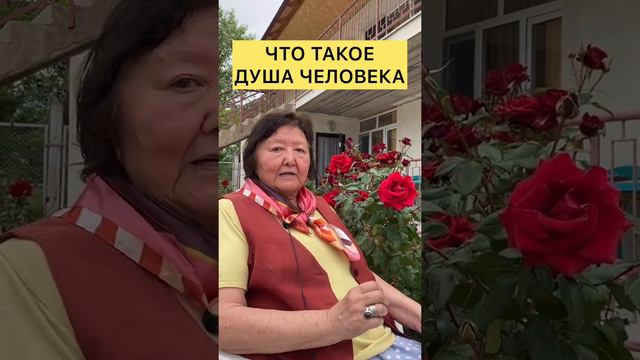 Что такое душа человека