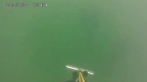 подводная охота владимирская область карьер малыгино