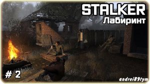 S.T.A.L.K.E.R. Лабиринт. Прохождение 2 (13.02.2024)