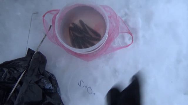 Зимняя рыбалка.Каков улов 31 декабря?Деревня смотреть онлайн