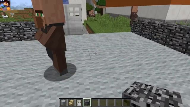 Я ПОСТРОИЛ ПРИЮТ ДЛЯ БЕЗДОМНЫХ ЖИВОТНЫХ В ДЕРЕВНЕ N 15 в Minecraft