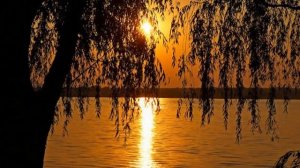 Деревенские ночи Слова Н. Рубцова. Музыка К. Акимова. Поёт Татьяна Петрова.