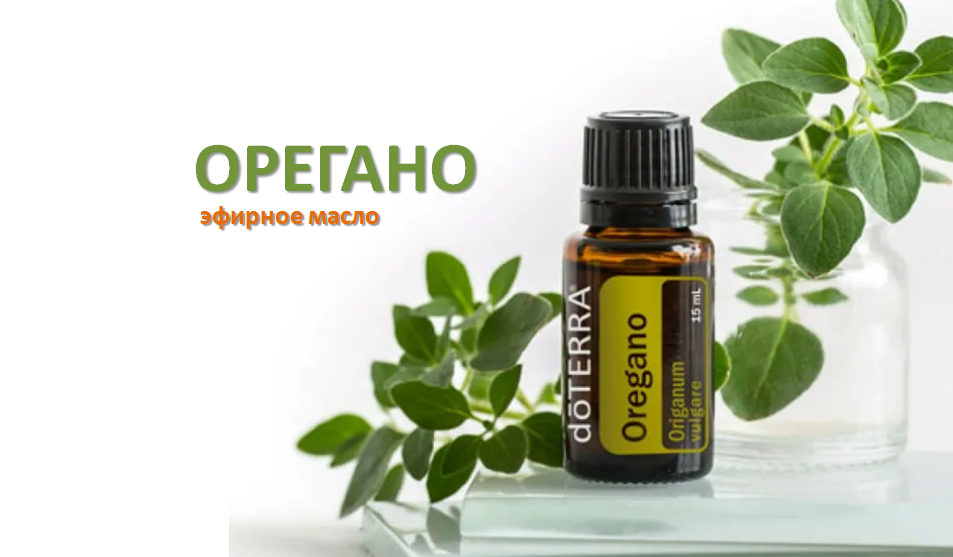 Орегано ДОТЕРРА. Масло орегано DOTERRA. Эфирное масло орегано ДОТЕРРА. Сандаловое дерево эфирное масло.