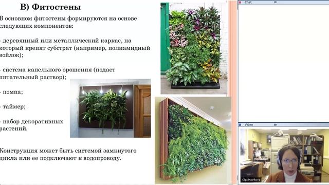 Вебинар 2 . (5.11.13). Фитодизайн в классах и школе: декораторские приемы в фитодизайне.