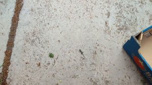 Рыбалка на Адриатическом море