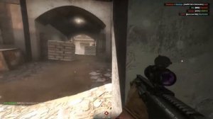 Разнообразие