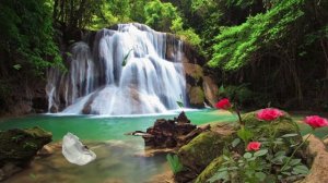 Водопад и бабочки.