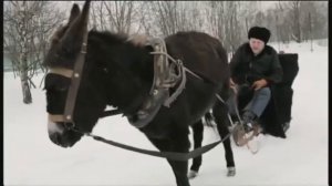 МЕДДИСОН "Рекламное очко"