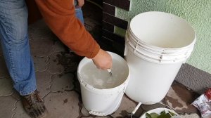 Готовим квашенные арбузы. 2020 Часть 1