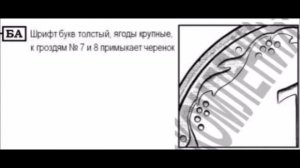 Ціна рідкісної монети 1 копійка 1992 року штамп 2 21БА