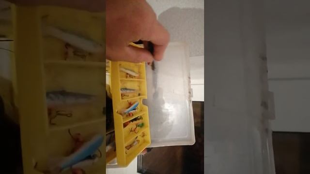 обзорчик рабочей мушки на хариуса и балансиров! смотреть онлайн