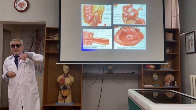 Лекция №14. Топография органов нижнего этажа брюшной полости. смотреть онлайн