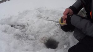 Ильинский карьер г. Новокузнецк. Тренировка перед соревнованиями.