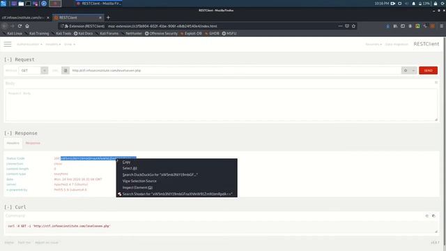 Infosec Institute n00bs CTF Labs   Level Seven