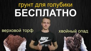 Грунт для голубики! Кислый верховой рыжий торф и хвойный опад где взять?