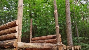 Землянку захватывают | в лесу строю двухэтажную баню | Кабан помощник.