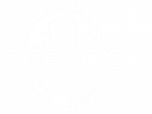 Репетиция третьего выпуска Creation