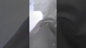 22 ГЕНИАЛЬНЫХ ЛАЙФХАКА ДЛЯ ТУАЛЕТА, КОТОРЫЕ СПАСУТ ВАС В ЛЮБОЙ СИТУАЦИИ